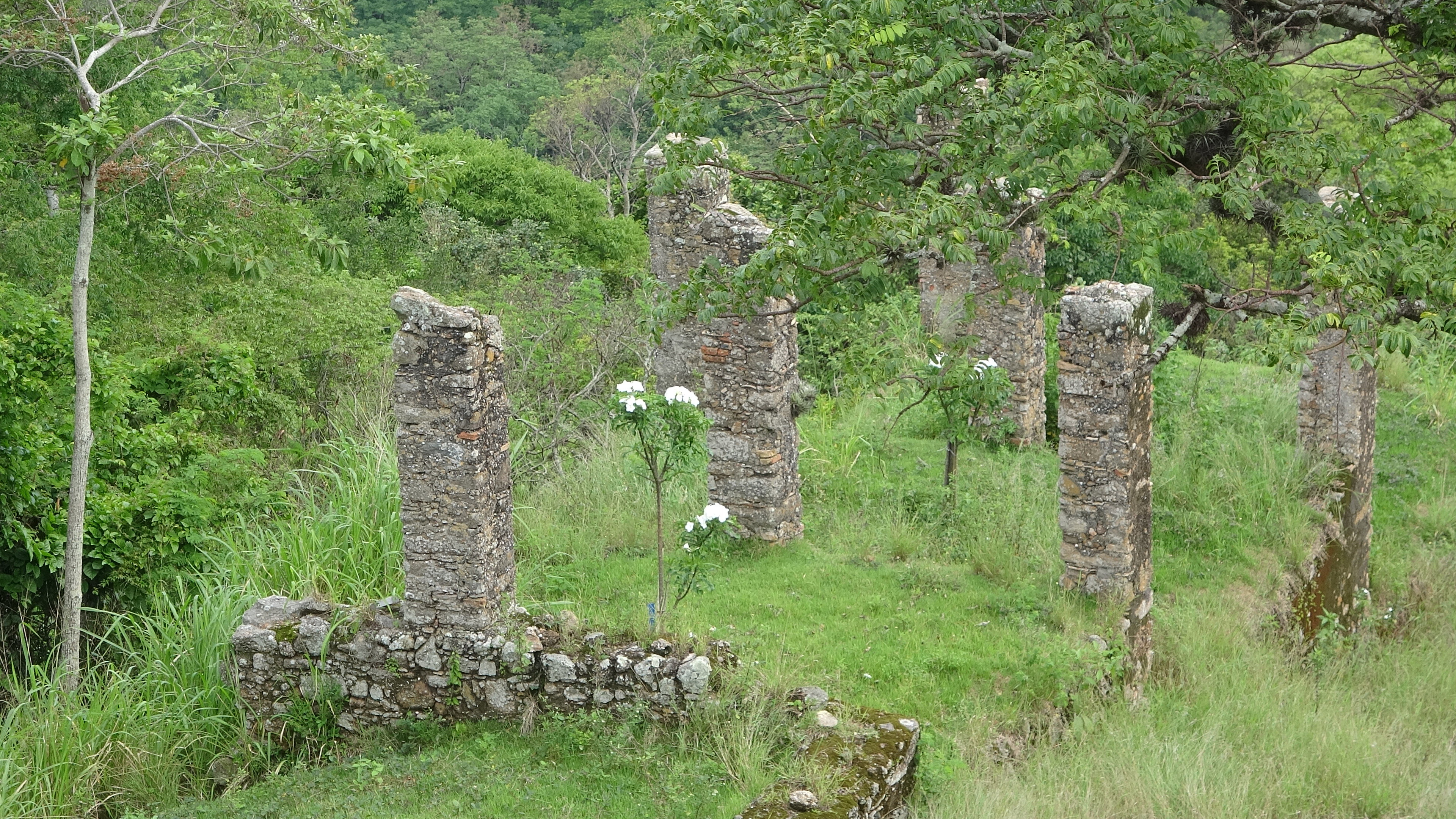 DSC02226.jpg